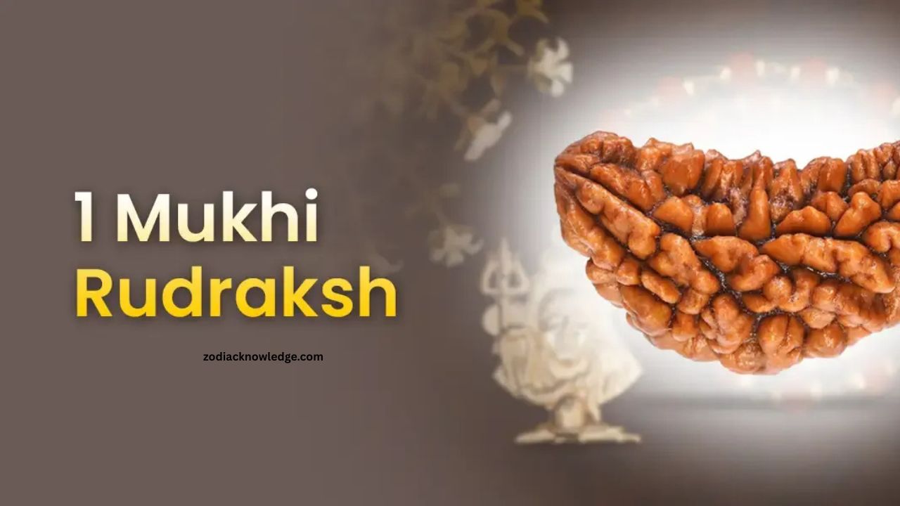 Eyes Of Himalayas: Unlock The Mystical Power Of 1 Mukhi Rudraksha!